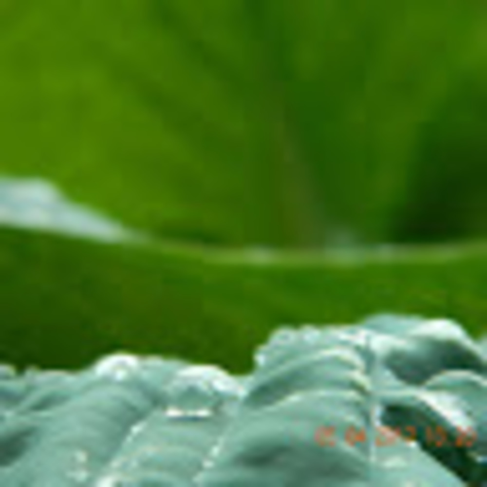 Meet your Posher, Kamden